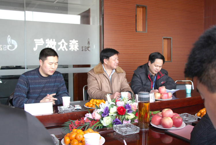 林口县政府与球王会官方版网站登录入口-球王会(中国)燃气项目洽谈.png